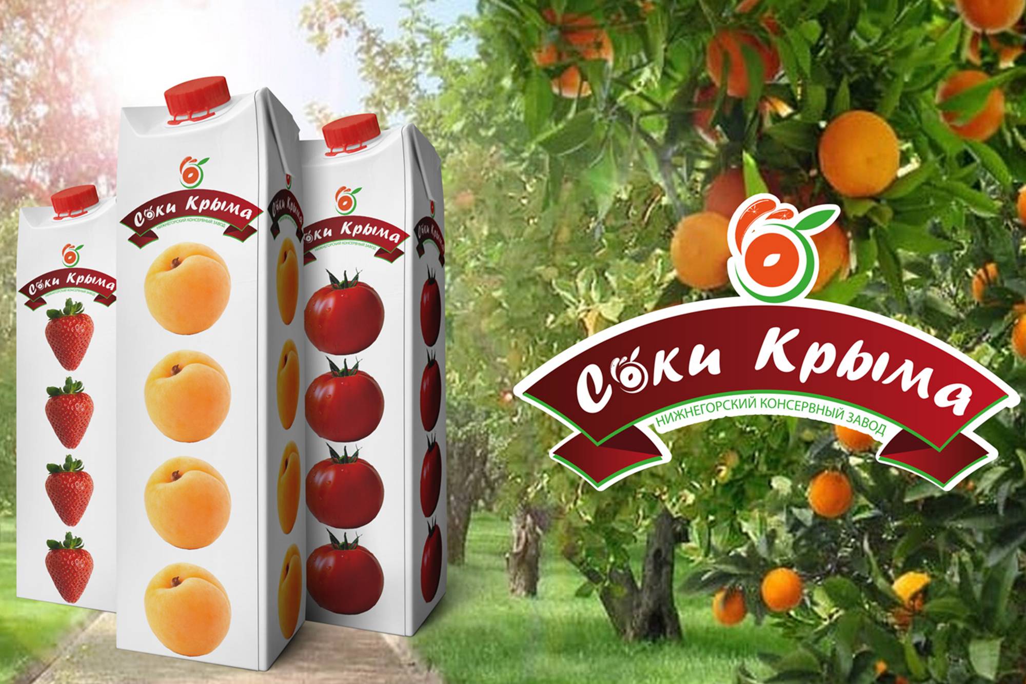 Соки Крыма Купить В Спб